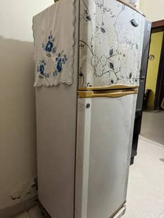 medium size refrigerator for sell