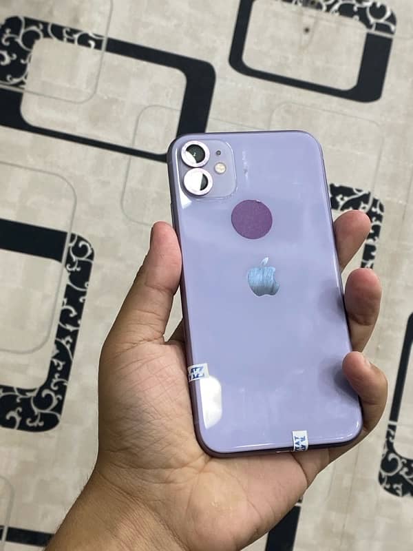 iPhone 11 0