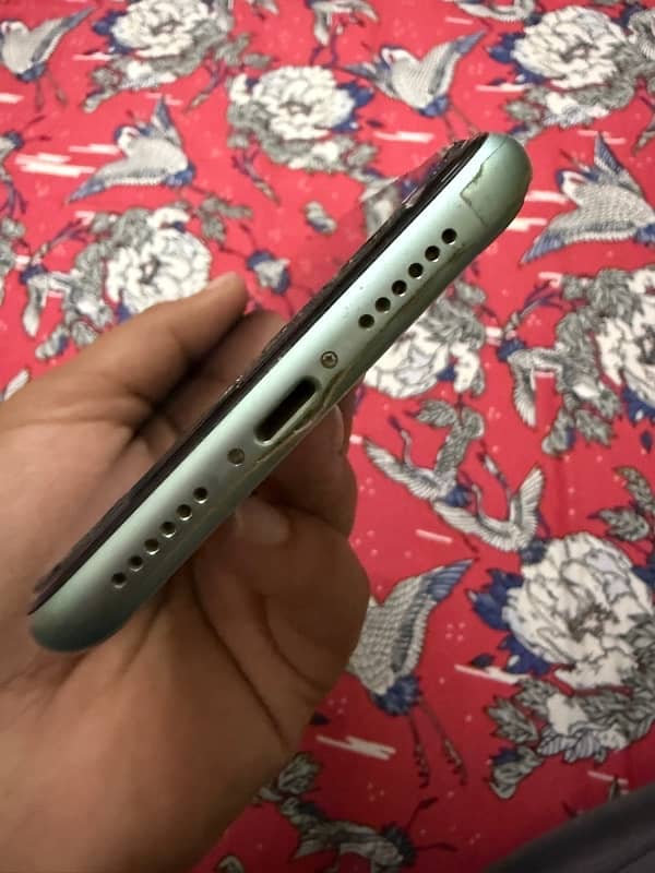 iPhone 11 dual PTA 3