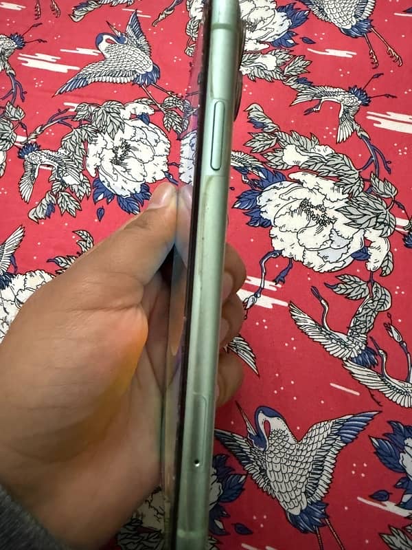 iPhone 11 dual PTA 6