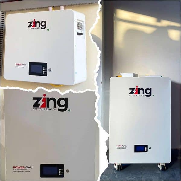 Zing Lithium ion battery 1