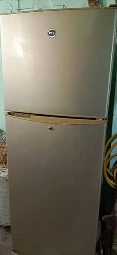 pel large size fridge