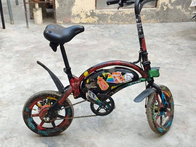 Electric bicycle 1