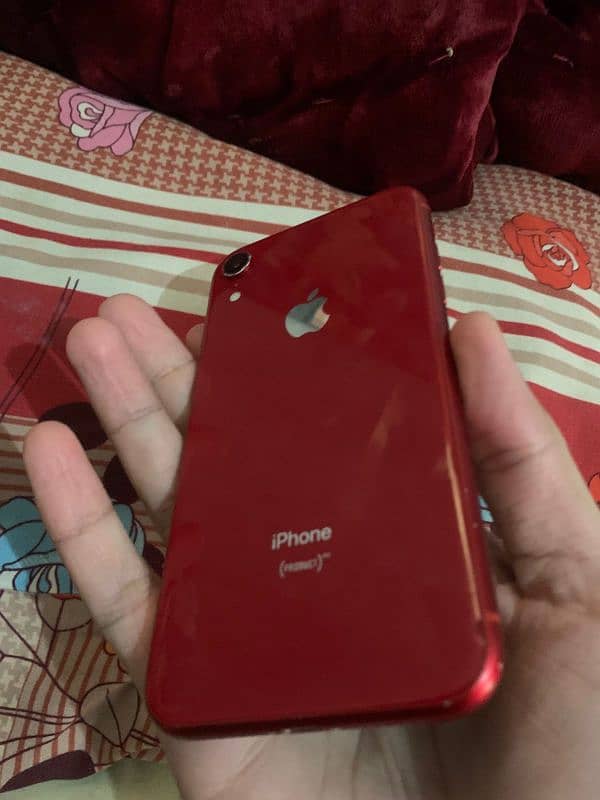 iphone XR 1