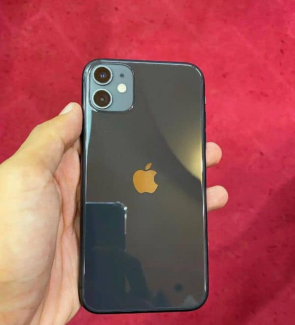 iphone 11 water pack 0