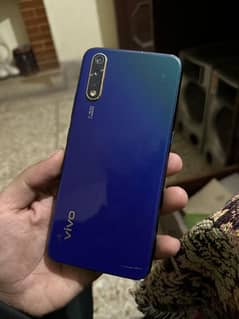 vivo