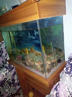 Aquarium for sale