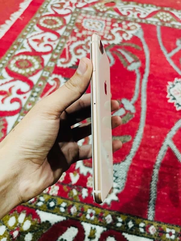 8 plus pta proved 64 gb 2