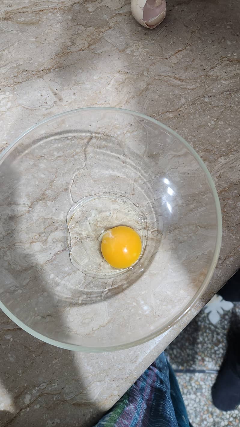 Pure desi eggs by desiegg. pk 3