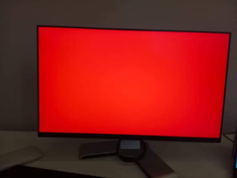 Dell 24 inch Monitor 3