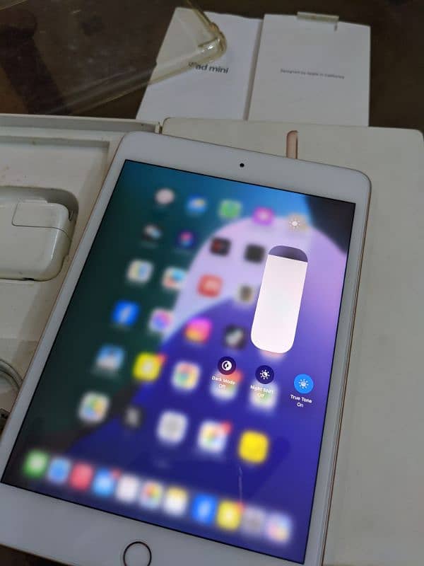 iPad Mini 5 64gb Complete Box Gold Color 7