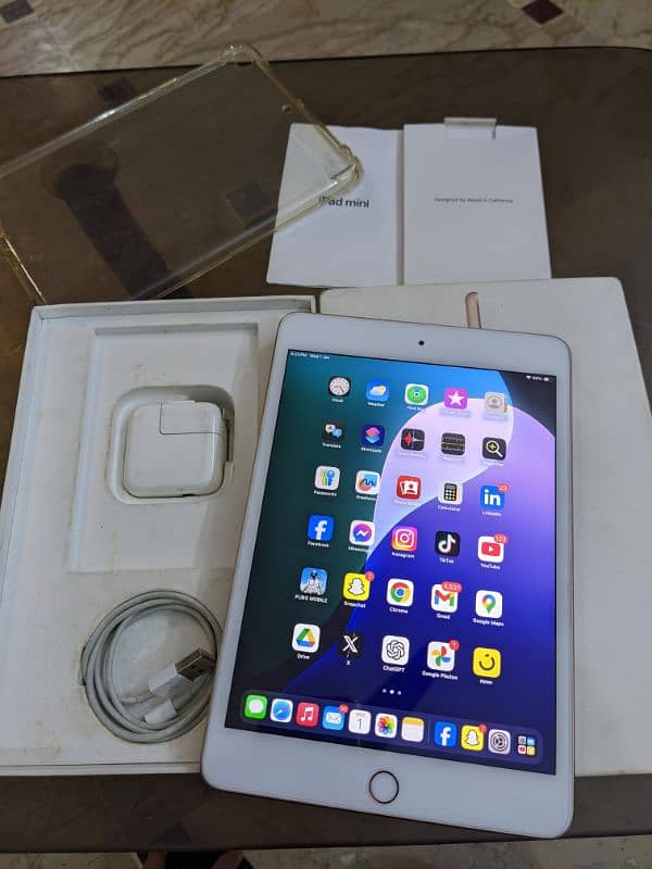 iPad Mini 5 64gb Complete Box Gold Color 9