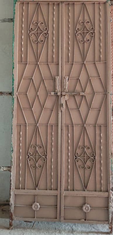 Metal doors 1