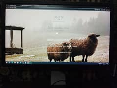 Monitor | Gaming Monitor | 60hz | 60hz Monitor | 75hz