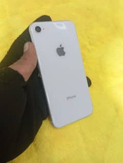 IPHONE 08 / 64gb pta approved