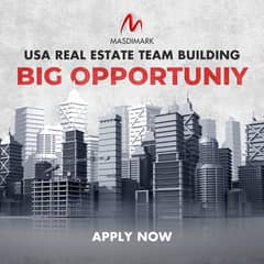 Sales Executive - USA Real Estate