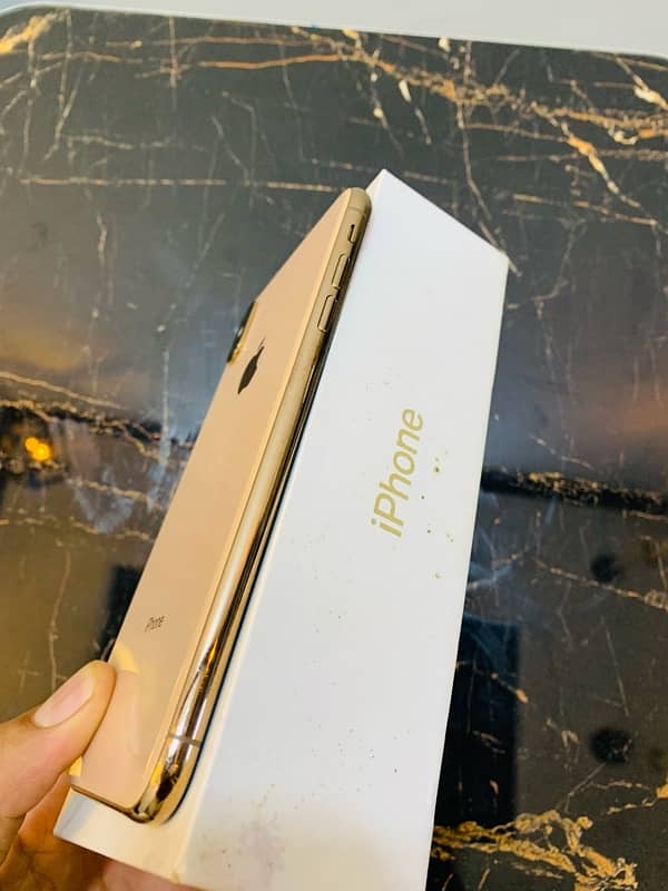 iPhone XS Max pta aprove 3