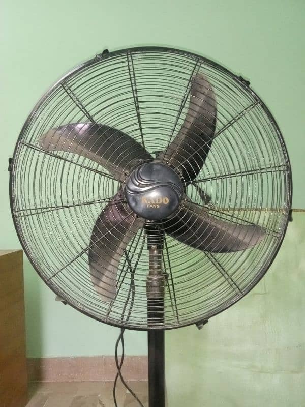 RADO FAN 2