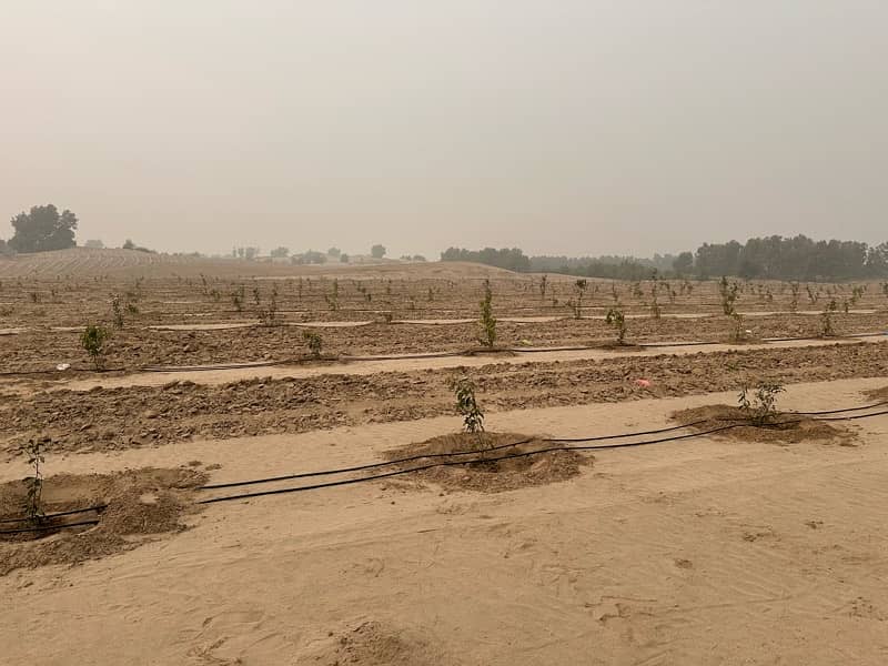 Drip/ Sprinkler Irrigation with Solar System (upto 75% subsidy) 0