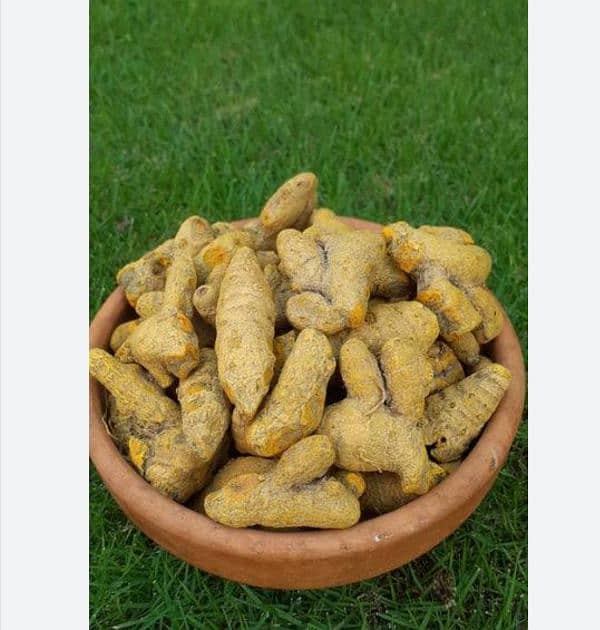 dried turmeric finger and powerd 1