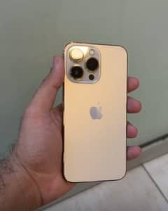 iphone 13 pro golden clor 128 pta approved physical e sim