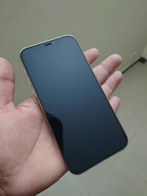 iPhone 12 Pro (Exchange Possible) 2