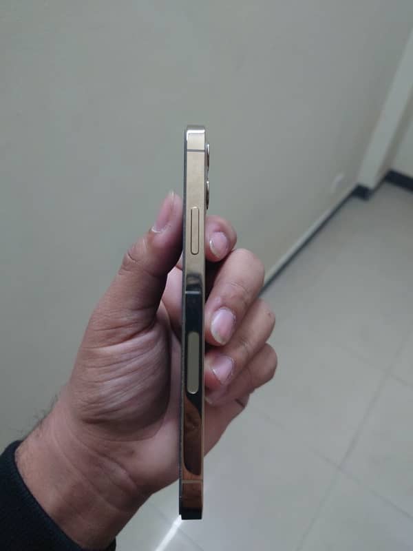 iPhone 12 Pro (Exchange Possible) 7