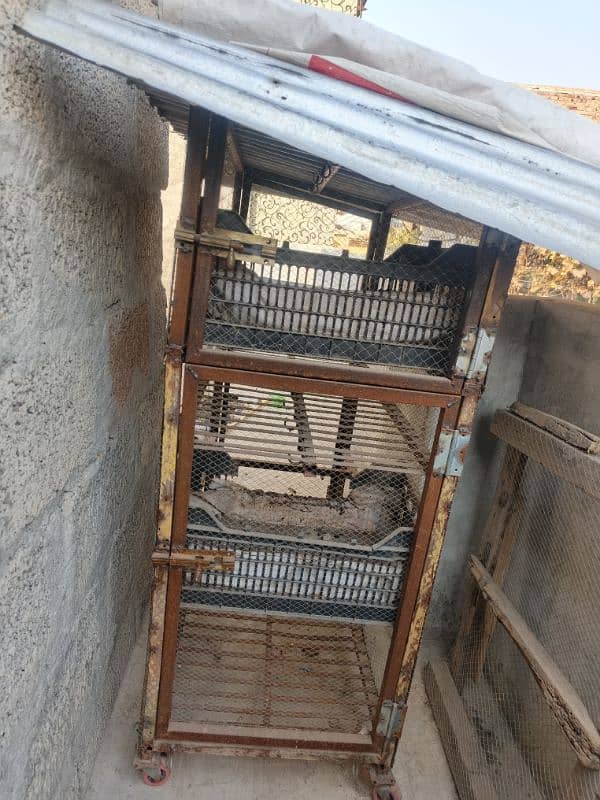 chicken cage double portion ma ha full iron ma ha agrent sale kerna ha 5