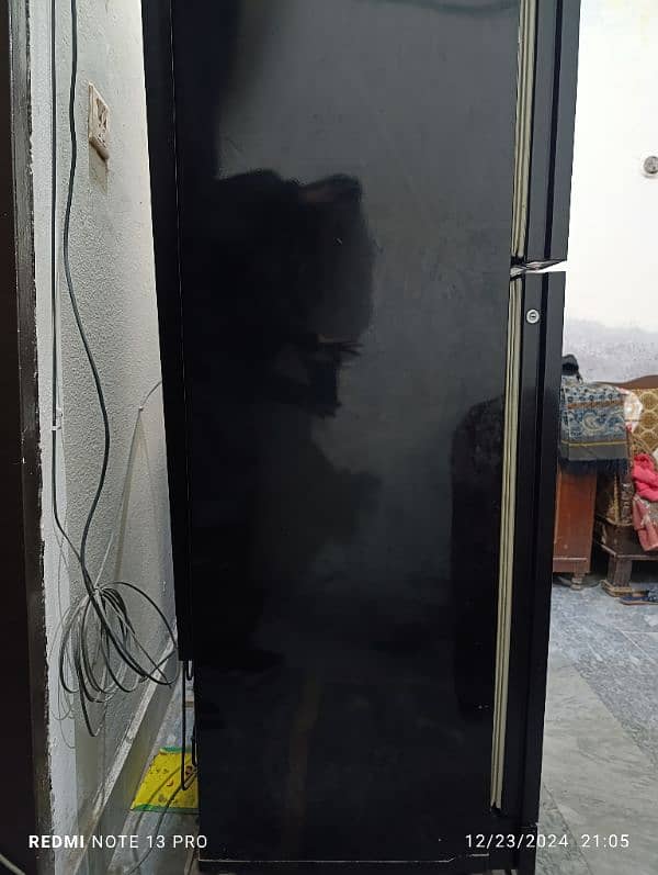 Pel Glass Door medium Size 1