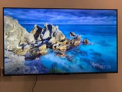 TCL 55" GOOGLE TV