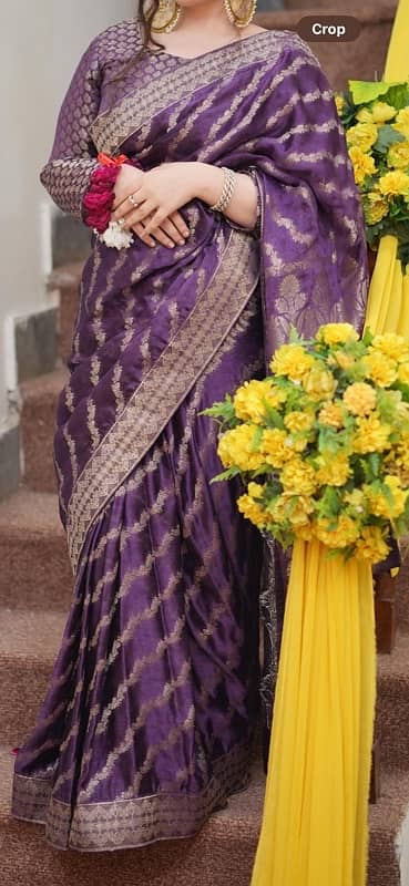 Banaras Chiffon Saree 2