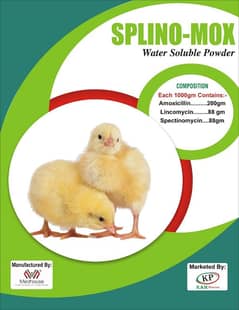 need an accountant for poultry business in kashmore