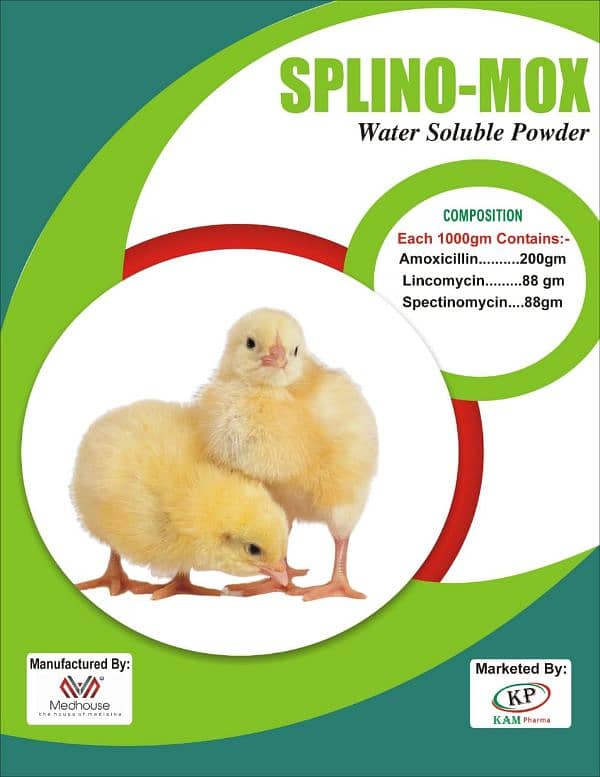 need an accountant for poultry business in kashmore 0