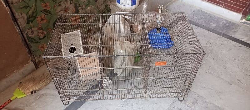 Cage For Sale 1