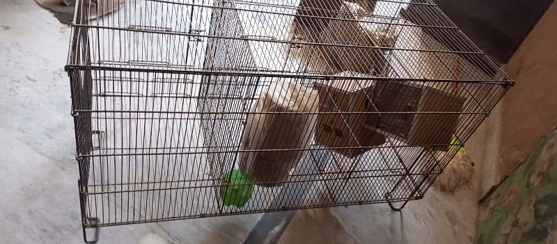 Cage For Sale 2