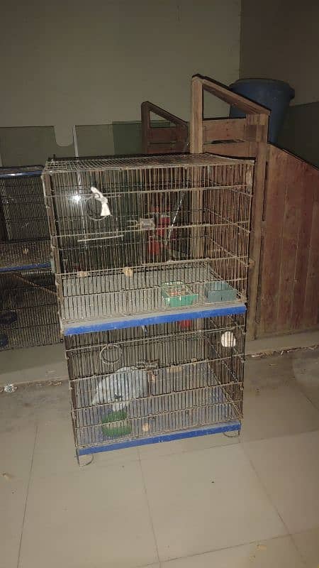 4 Portion Folding Cage 0