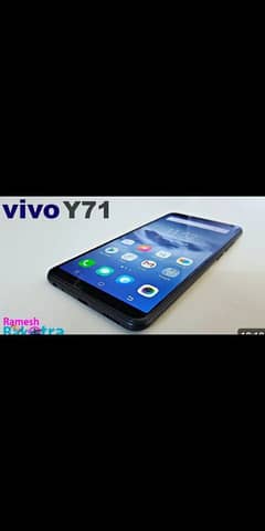 vivo