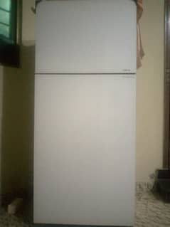 Fridge/refrigerator