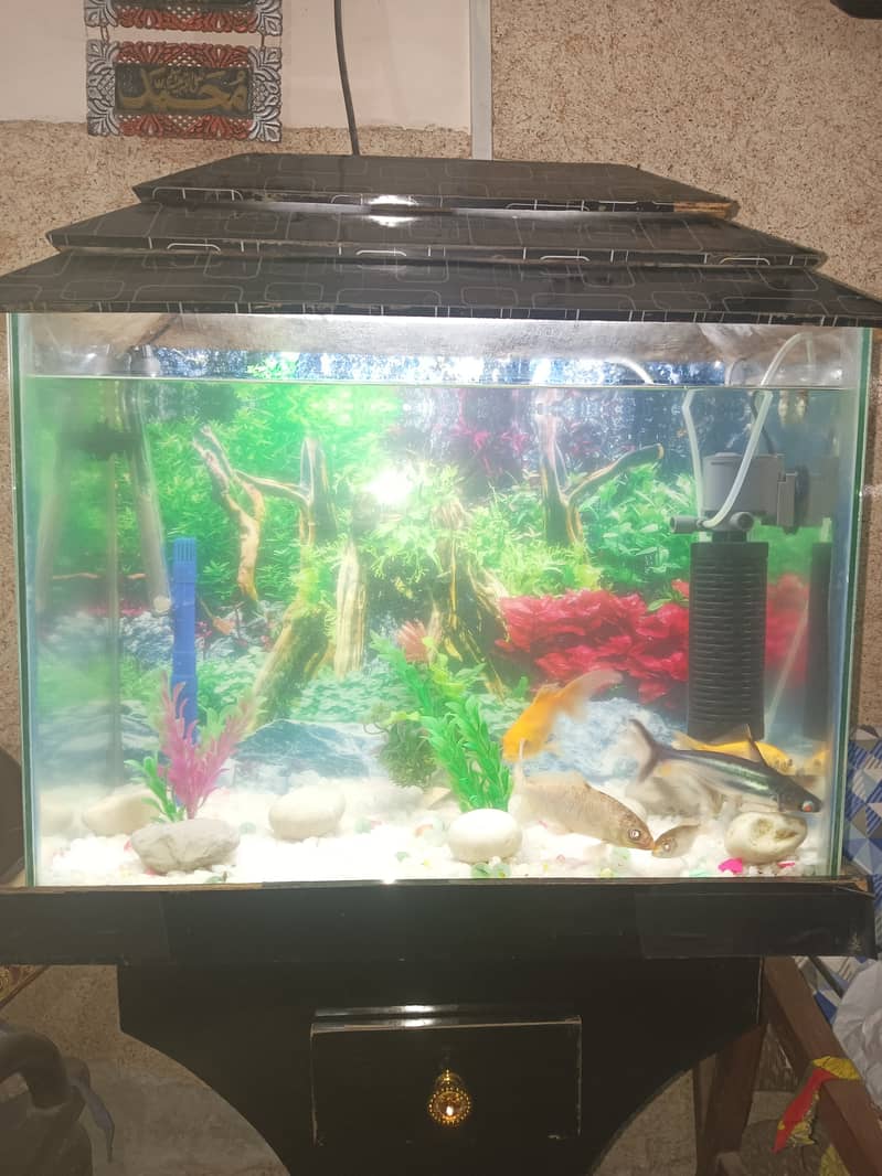 Aquarium For Sale 1