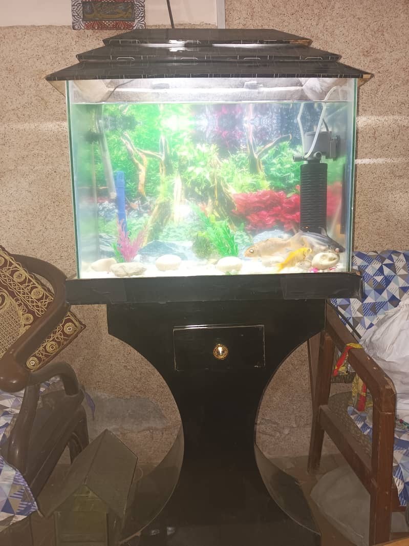 Aquarium For Sale 2