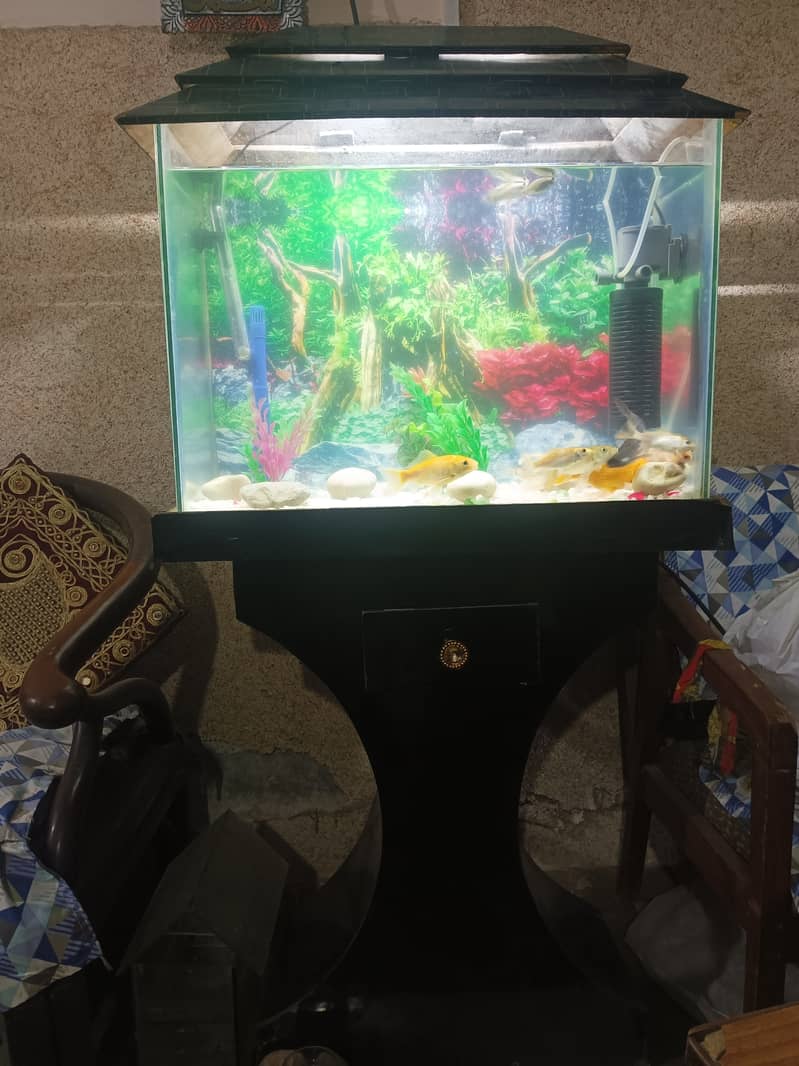 Aquarium For Sale 3