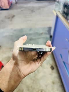 iPhone 12 Pro Max (Location Harappa Station Sahiwal)