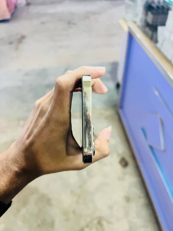 iPhone 12 Pro Max (Location Harappa Station Sahiwal) 1