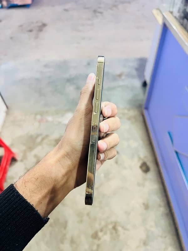 iPhone 12 Pro Max (Location Harappa Station Sahiwal) 2