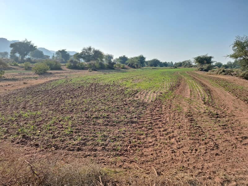 Land For Sale In Fateh Jang Area Moza Pind Fateh 0