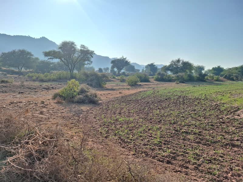 Land For Sale In Fateh Jang Area Moza Pind Fateh 1