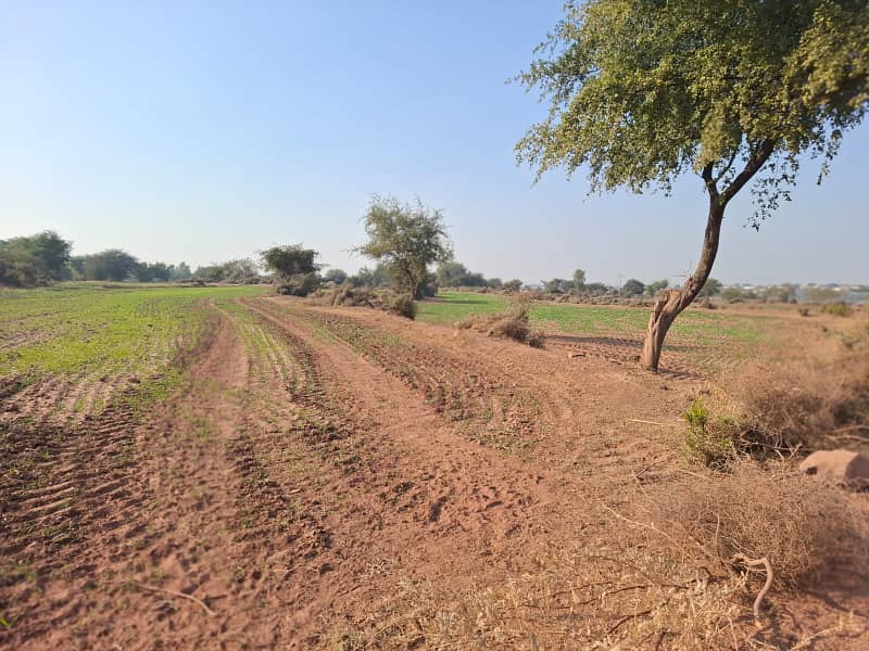 Land For Sale In Fateh Jang Area Moza Pind Fateh 3