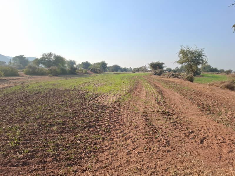 Land For Sale In Fateh Jang Area Moza Pind Fateh 4