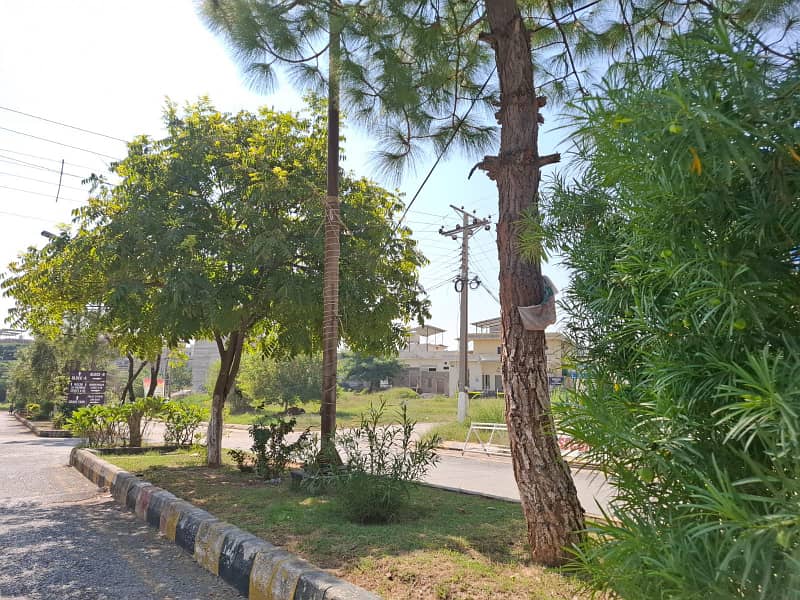 Commercial Plot For Sale in Aghosh Phase 1 ISlamabad At Investor Price For Genuine Buyer 5