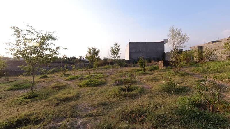 5 Kanal Farm House Land For Sale On Reasonable Price 1